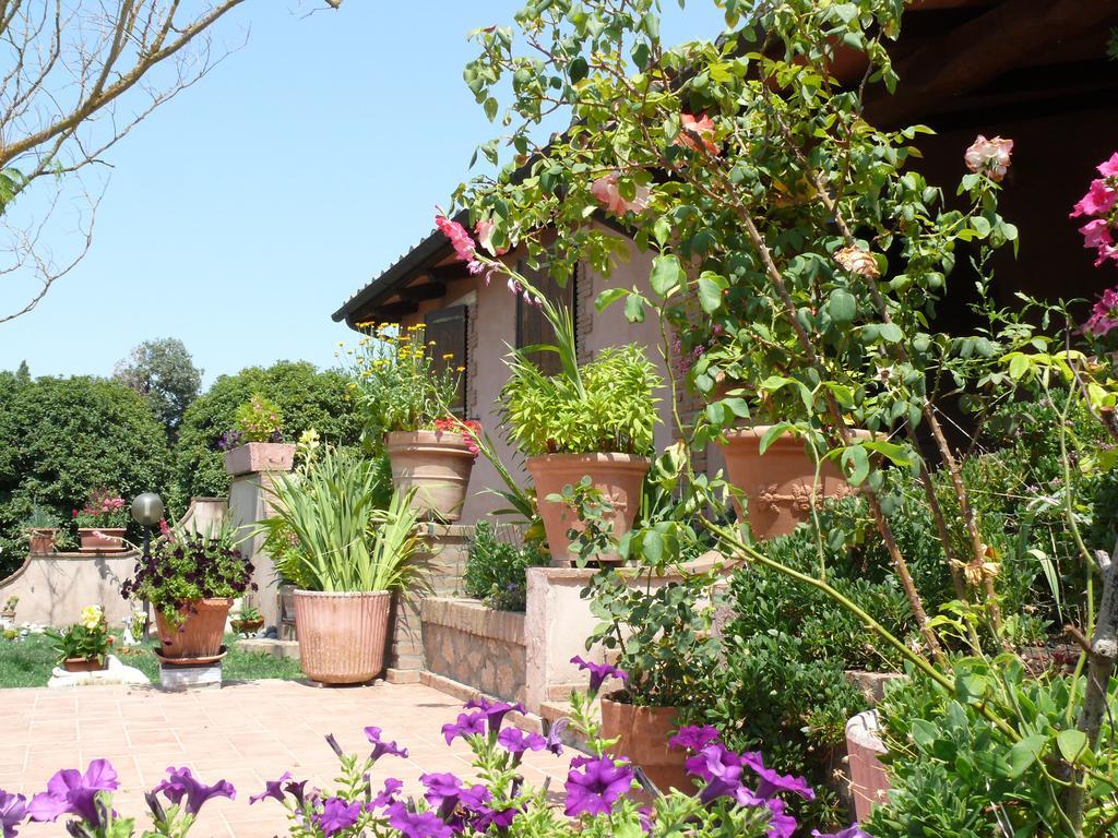 Agriturismo Da Lorena Marsiliana Exterior foto